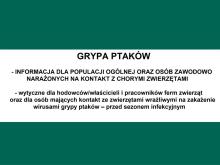 Grypa ptaków